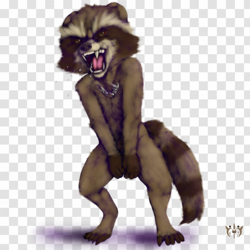 Cat Kitten Lion Bear Mammal - Big - Raccoon Transparent PNG