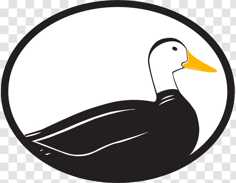 Odd Duck Media Clip Art Graphic Design Logo Marketing - Watercolor - Ducks Transparent PNG