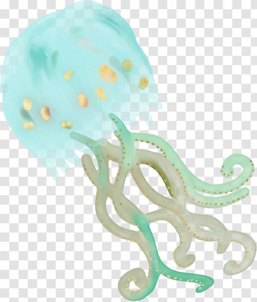 Jellyfish Animal Invertebrate Sea Transparent PNG