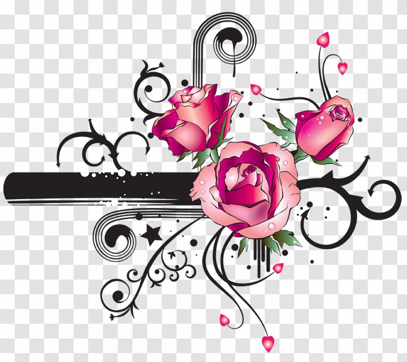 Download - Rose Family - Flower Transparent PNG