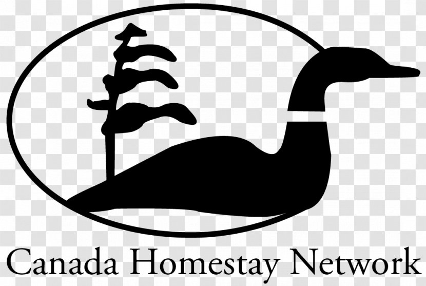 Canada Homestay Network International Student Lambton Kent District School Board - Host Transparent PNG