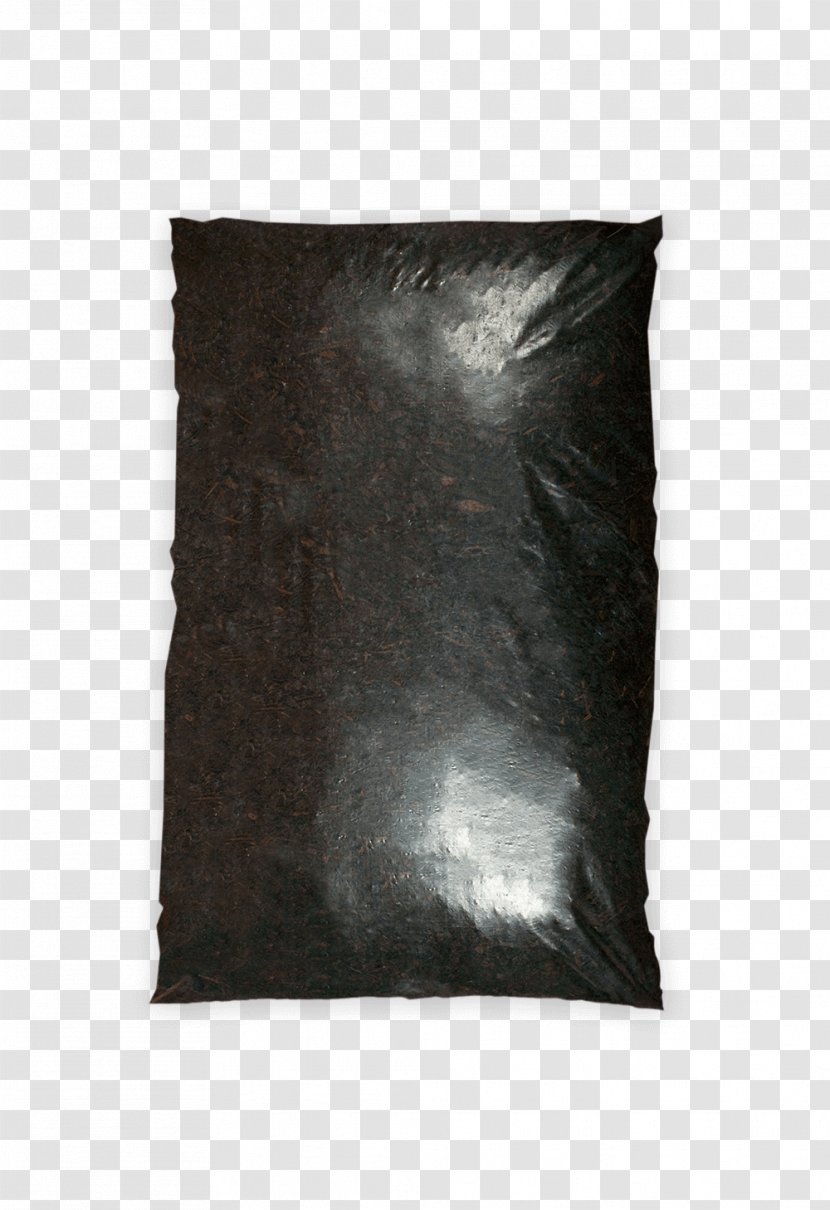 Throw Pillows Cushion - Groundcover Transparent PNG
