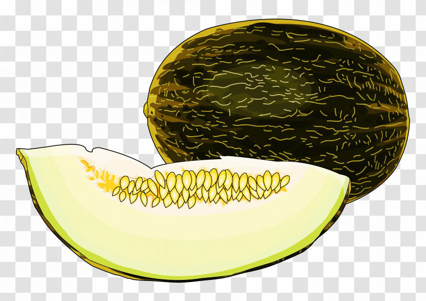 Melon Galia Muskmelon Cantaloupe Fruit Transparent PNG