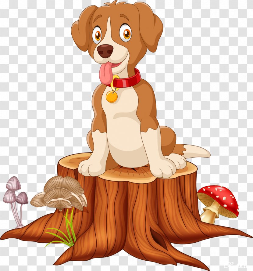 Dog Puppy Pet Sitting - Photography Transparent PNG