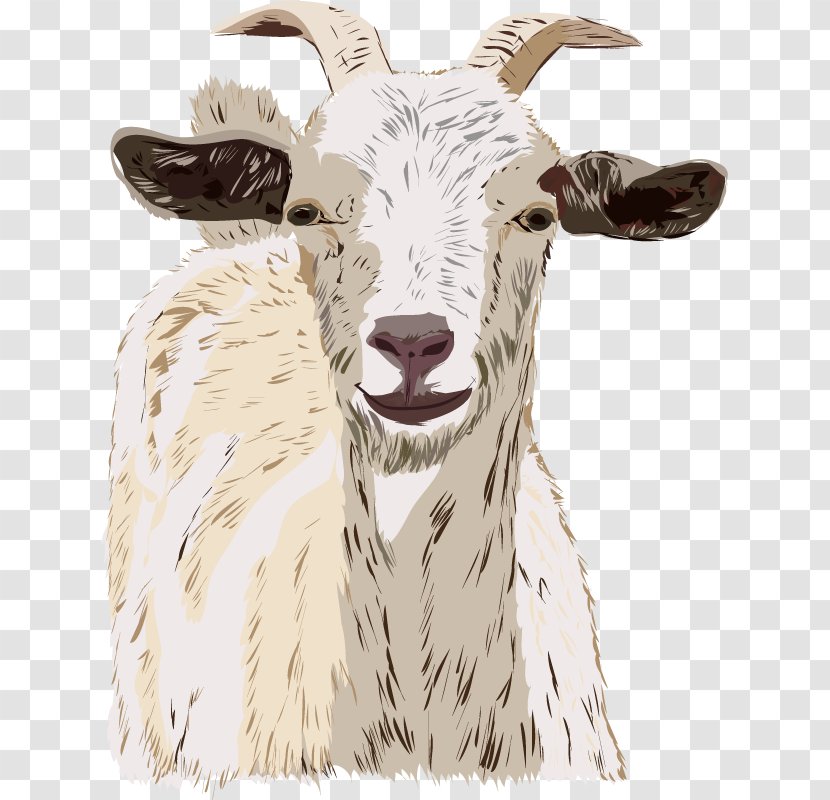 Sheep Goats Drawing Cattle - Handsewing Needles Transparent PNG