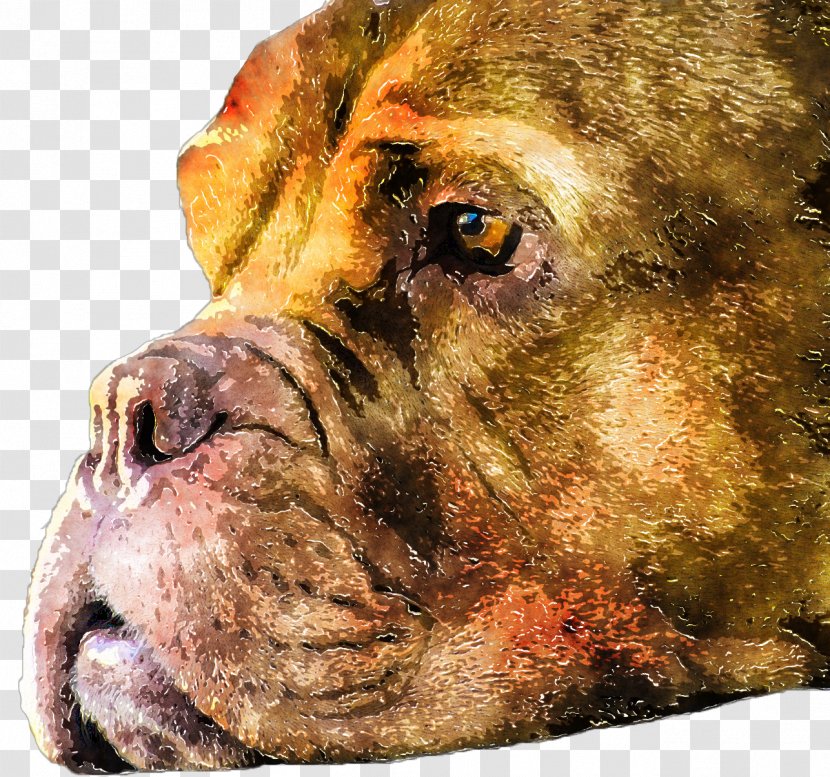 Dog Breed Boerboel Bullmastiff Lion Watercolor Painting - Carnivoran - Dogs Transparent PNG