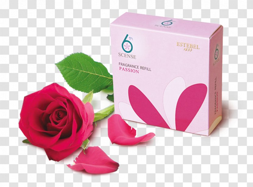 Garden Roses Perfume Aroma Compound Aromatherapy Odor Transparent PNG