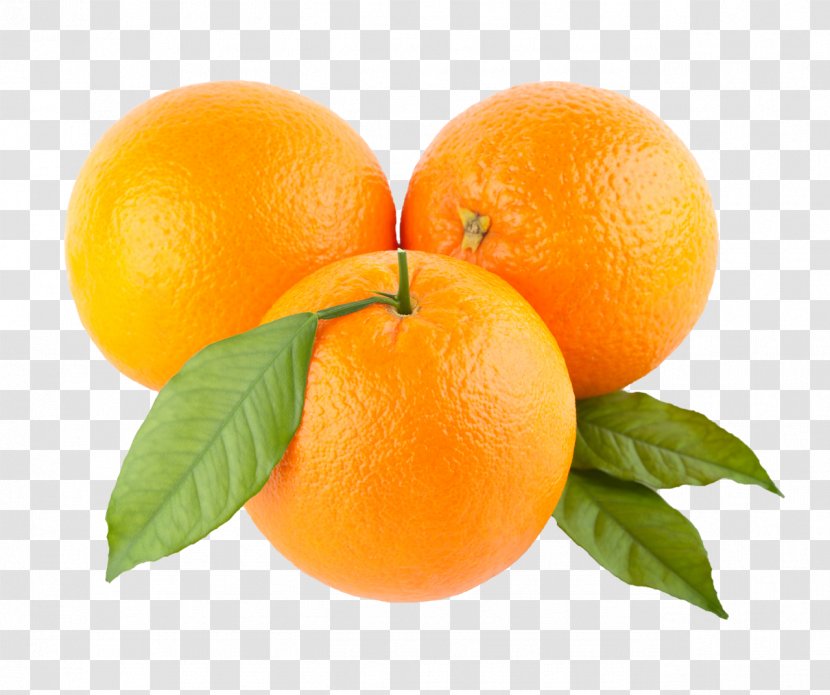 Orange Download Clip Art - Sweet Lemon - Apricot Transparent PNG