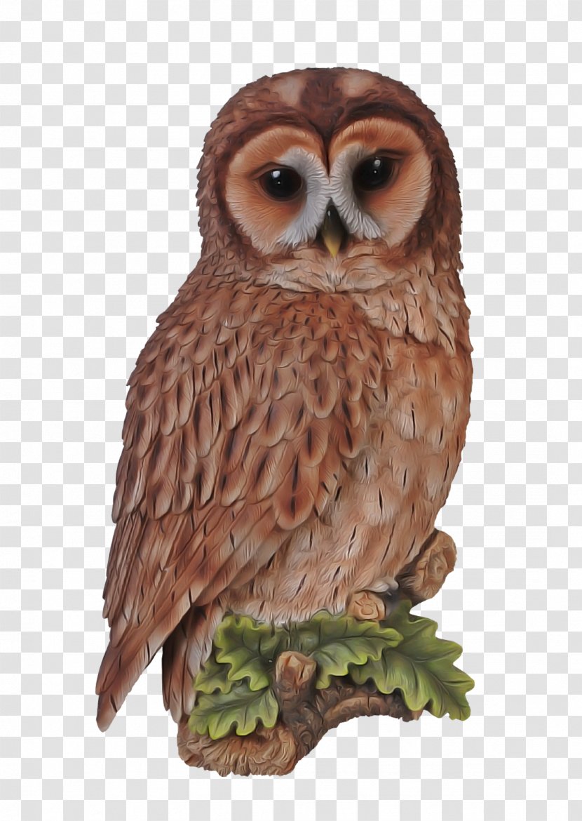 Owl Bird Of Prey Great Grey Barn - Wildlife - Figurine Transparent PNG