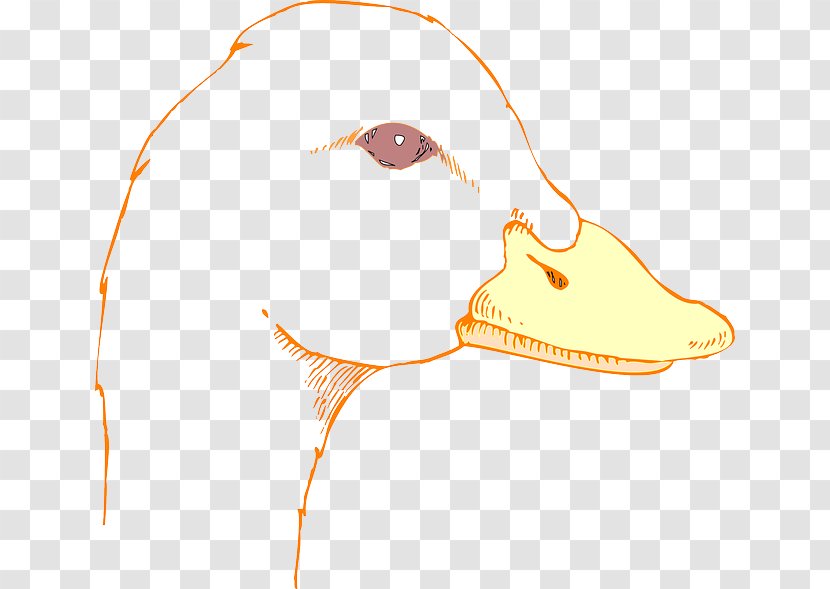 Duck Bird Mallard Drawing Clip Art - Tree - First Aid Kit Transparent PNG