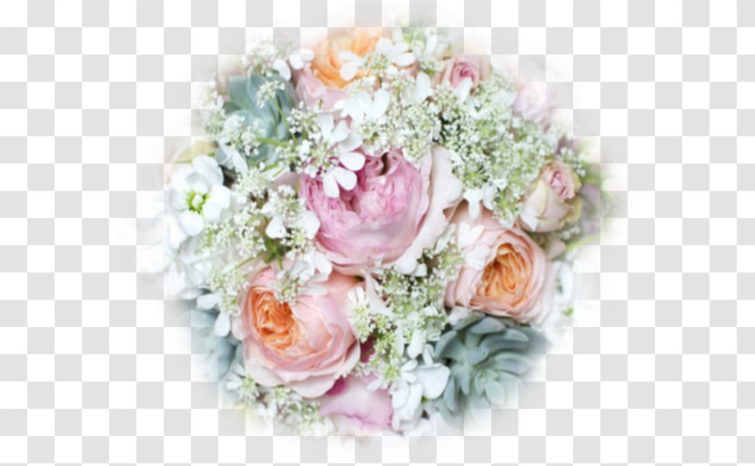 Garden Roses Floral Design Flower Bouquet Cabbage Rose - Rosa Centifolia Transparent PNG