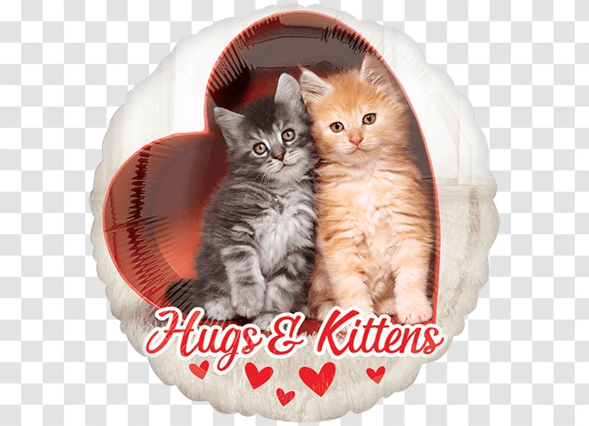 Cat Kitten Valentine's Day Balloon Felidae - Purr Transparent PNG