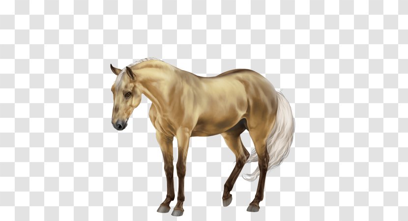 Mane Mustang Foal Stallion Colt - Horse Supplies - Quarter Transparent PNG