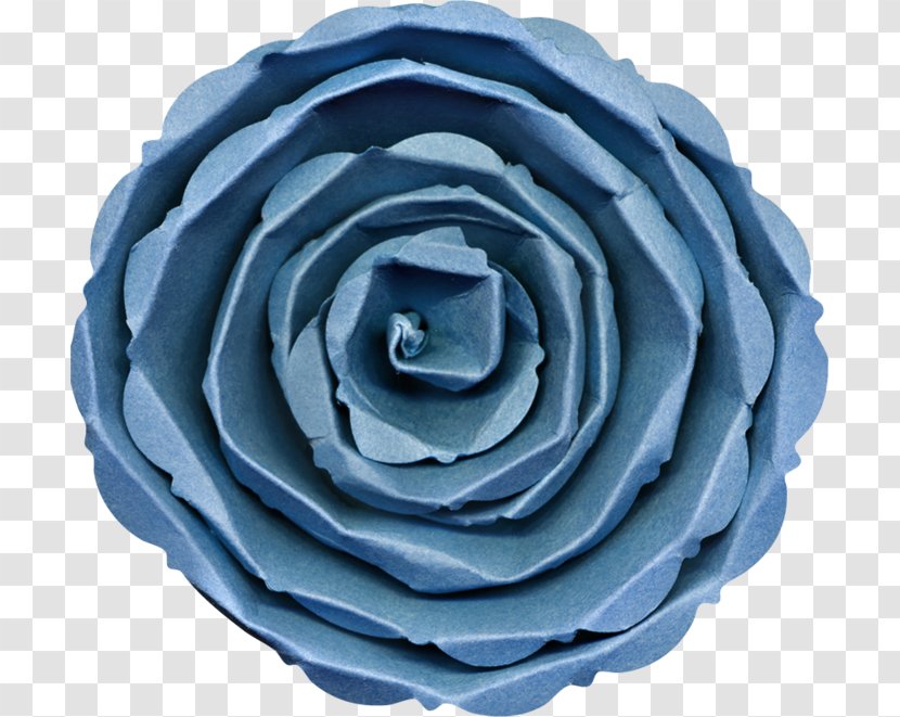Garden Roses Blue Rose Flower - Petal - Fasten Transparent PNG