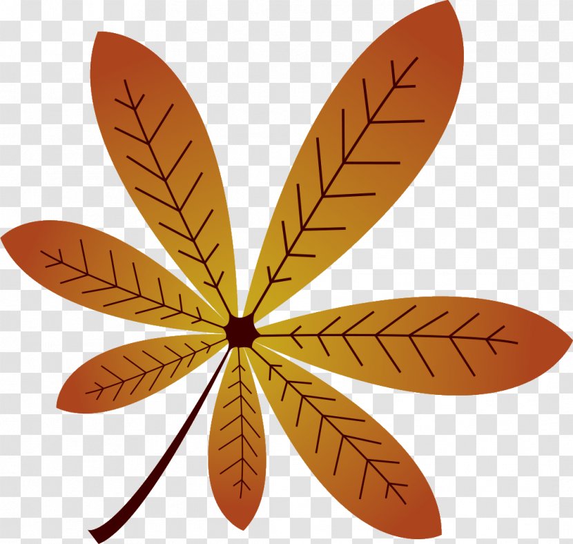 Autumn Vegetable Insect - Leef Transparent PNG