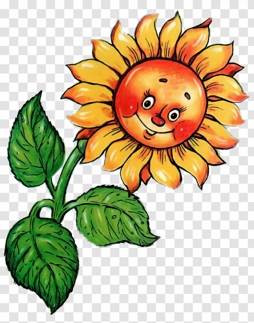 Common Sunflower Drawing Seed Clip Art - Artwork - Flower Transparent PNG