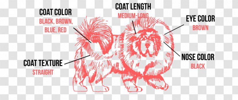 Tibetan Mastiff English Dog Breed Puppy - Flower Transparent PNG