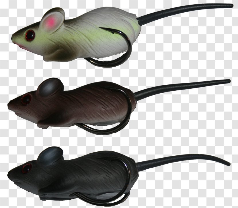 Mouse Amphibian Technology Transparent PNG