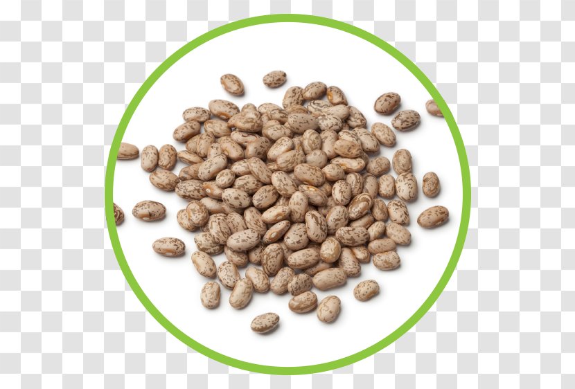 Pinto Bean Jamaican Blue Mountain Coffee Food Stock Photography - Beans Transparent PNG