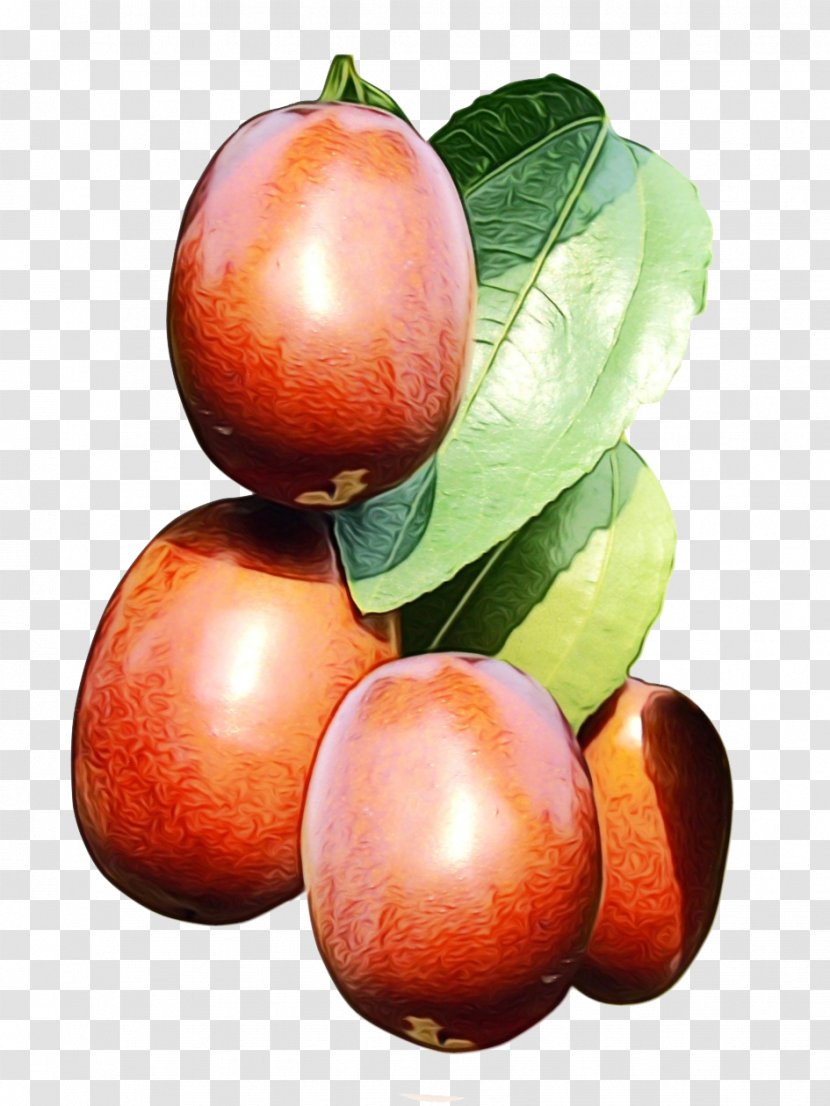 Apple Tree - Peach - Garcinia Indica Transparent PNG