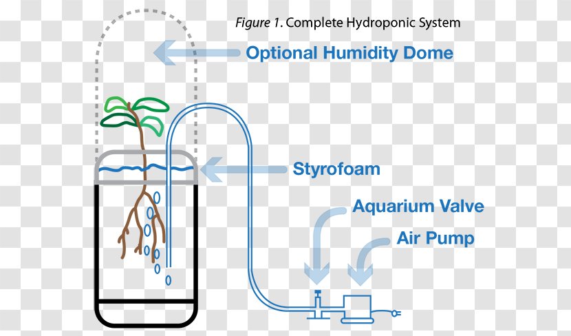 Line Technology Angle - Number - Aquarium Hydroponics Transparent PNG