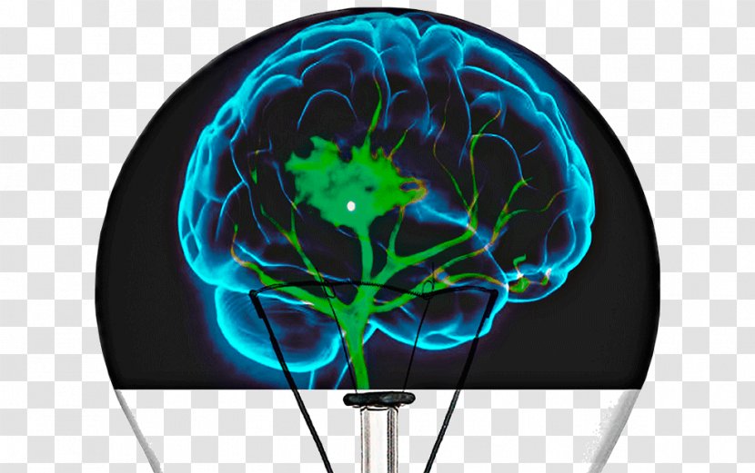 Human Brain Cognitive Training Neuroimaging Reabilitação Neurológica - Organism - Miopia Transparent PNG
