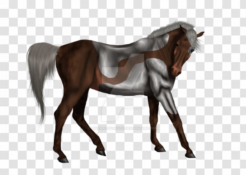 Mustang Stallion Mane Foal Arabian Horse - Like Mammal Transparent PNG
