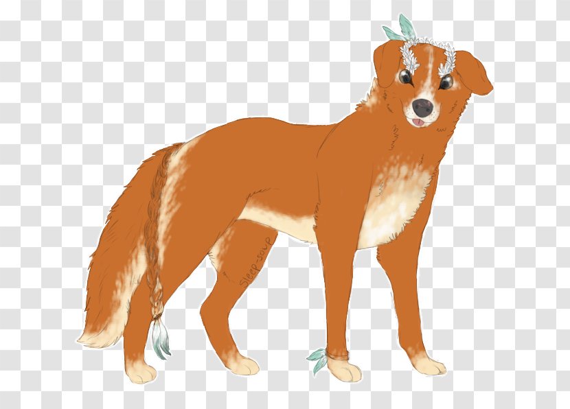 Dog Breed Nova Scotia Duck Tolling Retriever Puppy Ancient Egypt Companion - Snout Transparent PNG