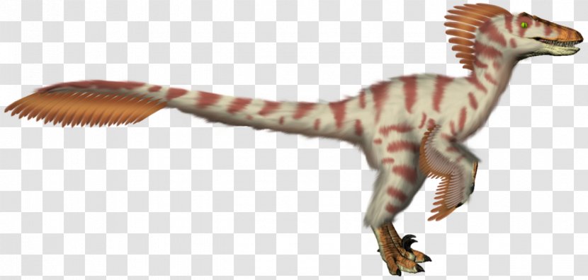 Velociraptor Tyrannosaurus Primal Carnage Paleoart - Wildlife - Raptor Transparent PNG