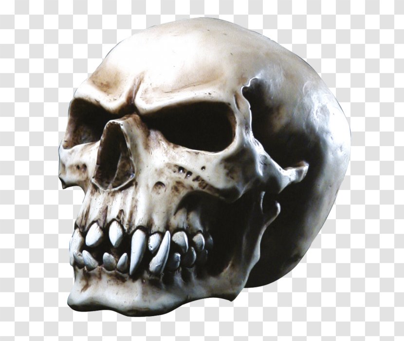 Skull Orc Totenkopf Vampire Goth Subculture - Horror Transparent PNG