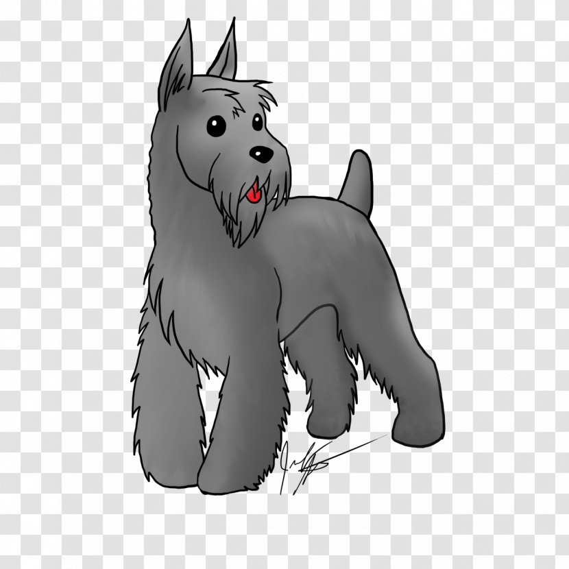 Miniature Schnauzer West Highland White Terrier Scottish Dog Breed - Cat Like Mammal - Puppy Transparent PNG