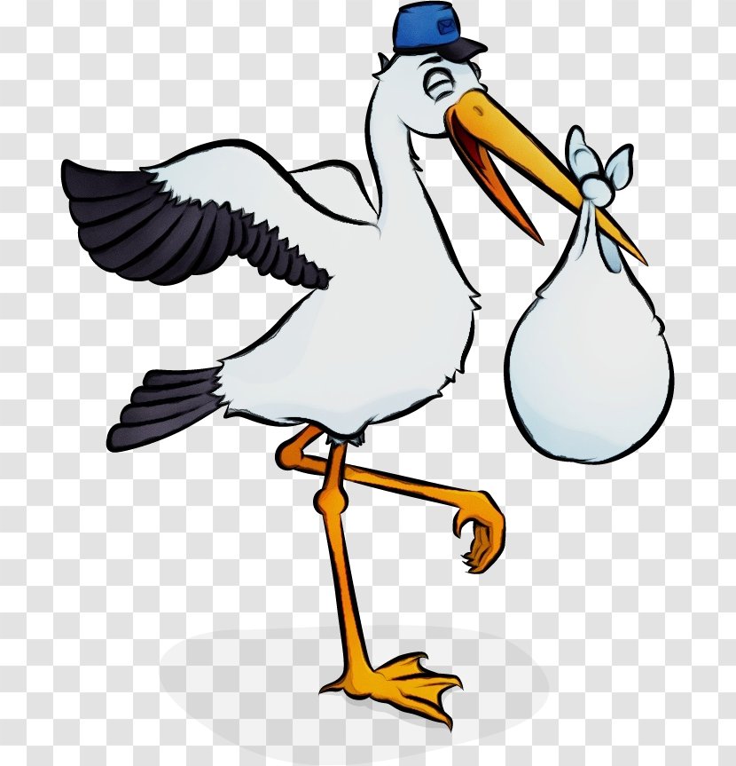Clip Art White Stork Marabou Desktop Wallpaper - Bird - Pelican Transparent PNG