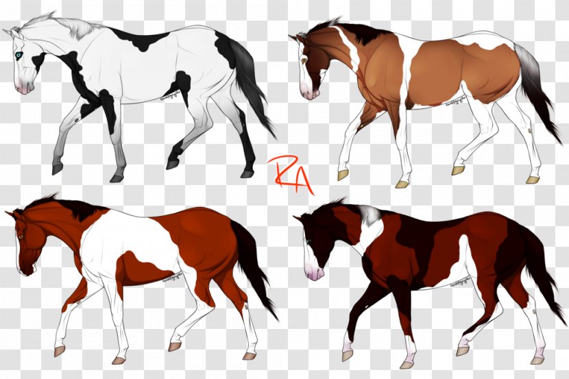 Mustang Foal Pony Stallion Mare - Art Transparent PNG