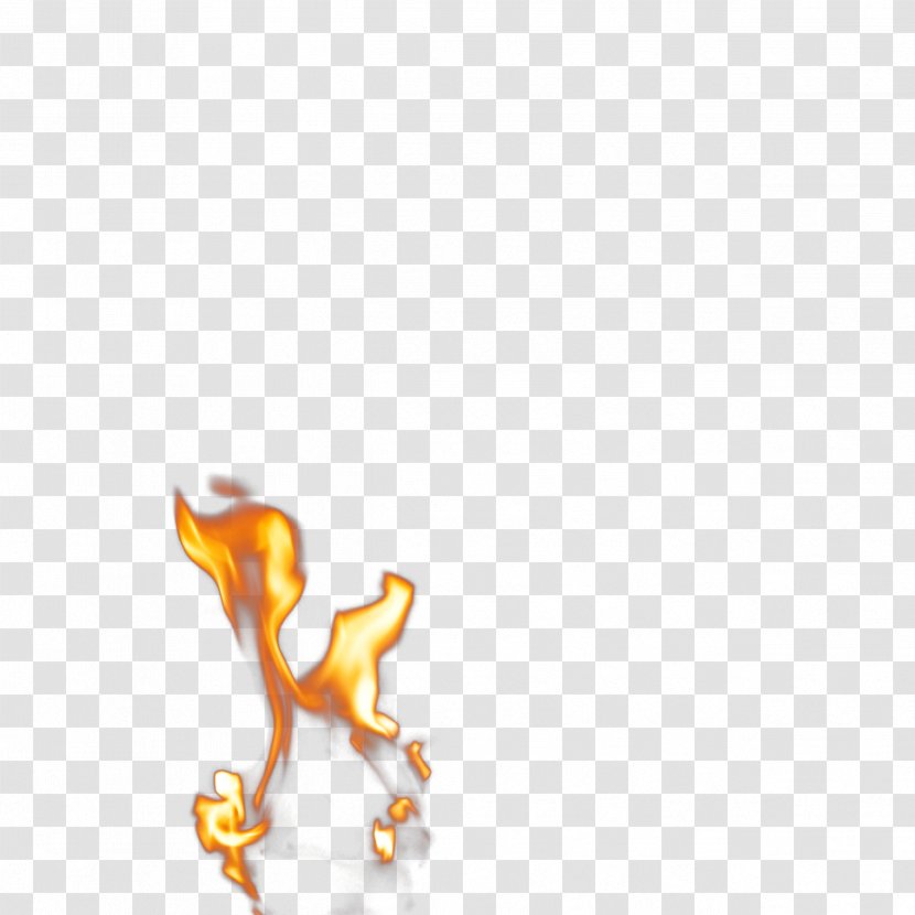 Flame Fire Design Image - Organism Transparent PNG