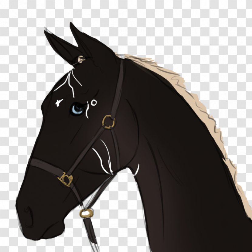 Stallion Bridle Mustang Halter Horse Harnesses - Equestrian - Foal Head Sketch Transparent PNG