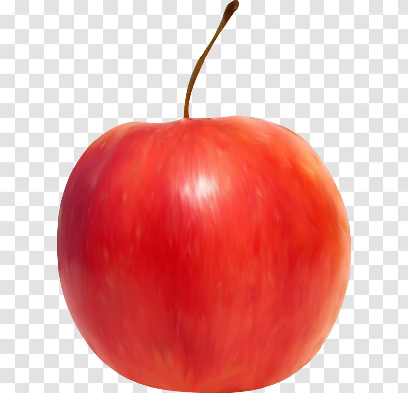 Plum Tomato Still Life Apple Accessory Fruit Clip Art - Potato And Genus Transparent PNG