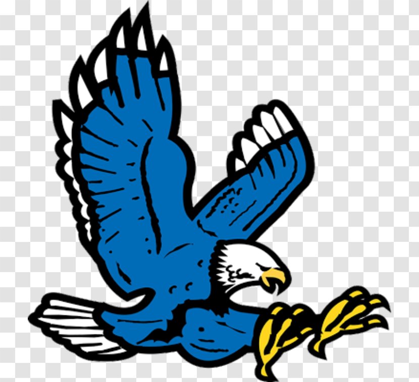 Auburn University High School Tigers Football Mascot War Eagle - Beak Transparent PNG