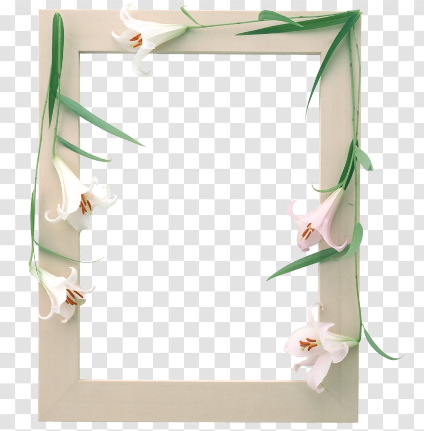 Photograph Picture Frames Adobe Photoshop Image - Decorative - Flower Transparent PNG