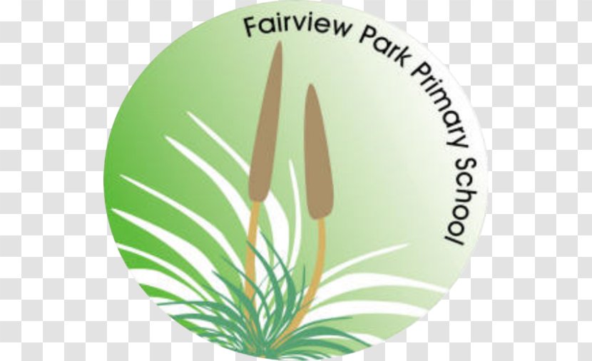 Fairview Park Primary School Education Goodwood - Green - Street Dance King Transparent PNG