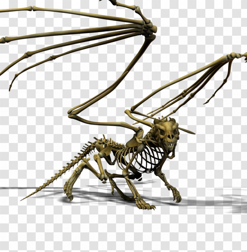 The Bone Dragon Skeleton Tarsus - Bones Transparent PNG