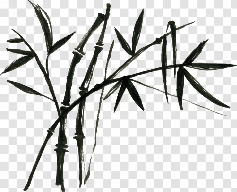 Tropical Woody Bamboos Chinese Cuisine Bamboo Painting Shoot - Branch Transparent PNG