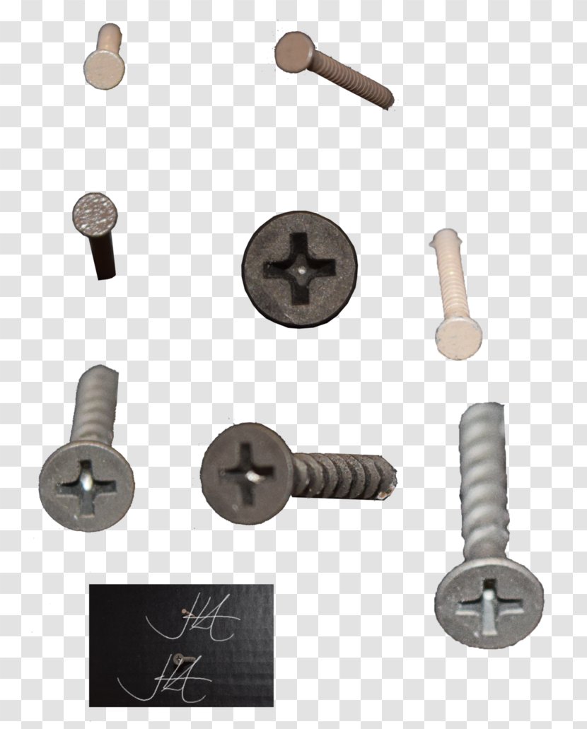 Stock Carnival Cruise Line Screw Fastener DeviantArt - Photography Transparent PNG