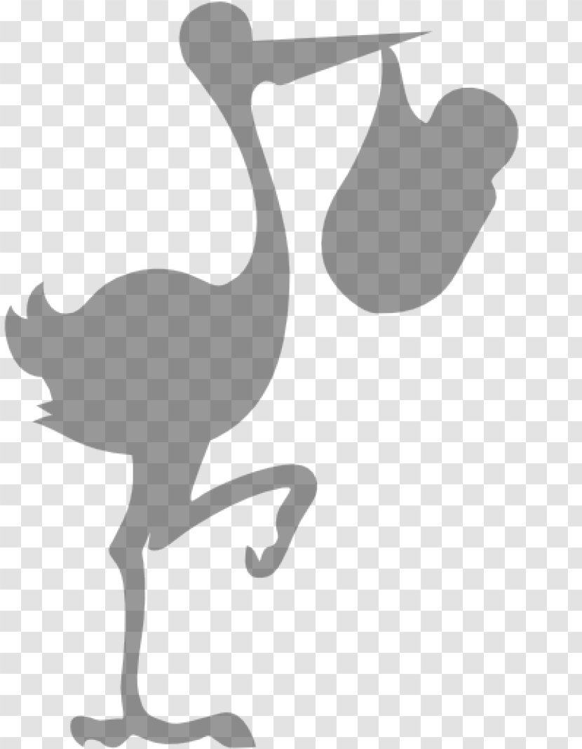 Mr. Stork Duck Crane Clip Art - Vertebrate - BABY NACIMIENTO Transparent PNG