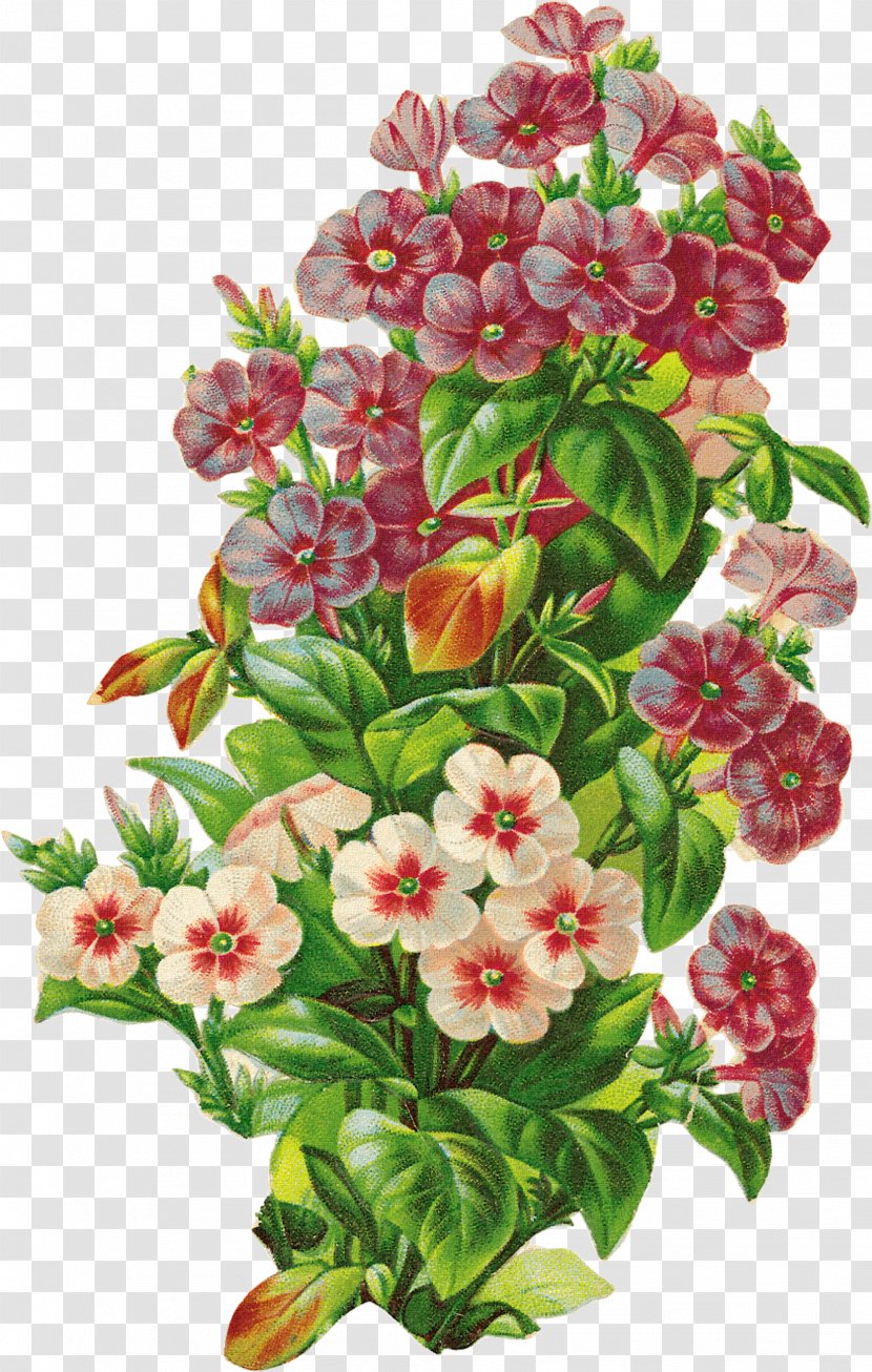 Floral Design Retro Style U68eeu30acu30fcu30eb Flower - Decorative Pattern Transparent PNG