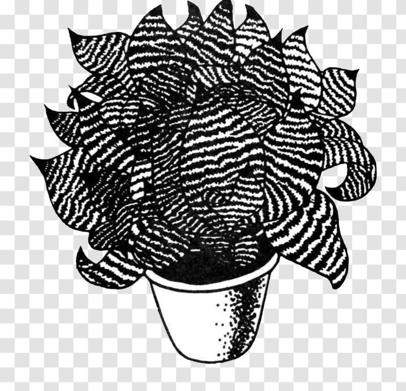 Black And White Monochrome - Flower - Tiger Piran Transparent PNG