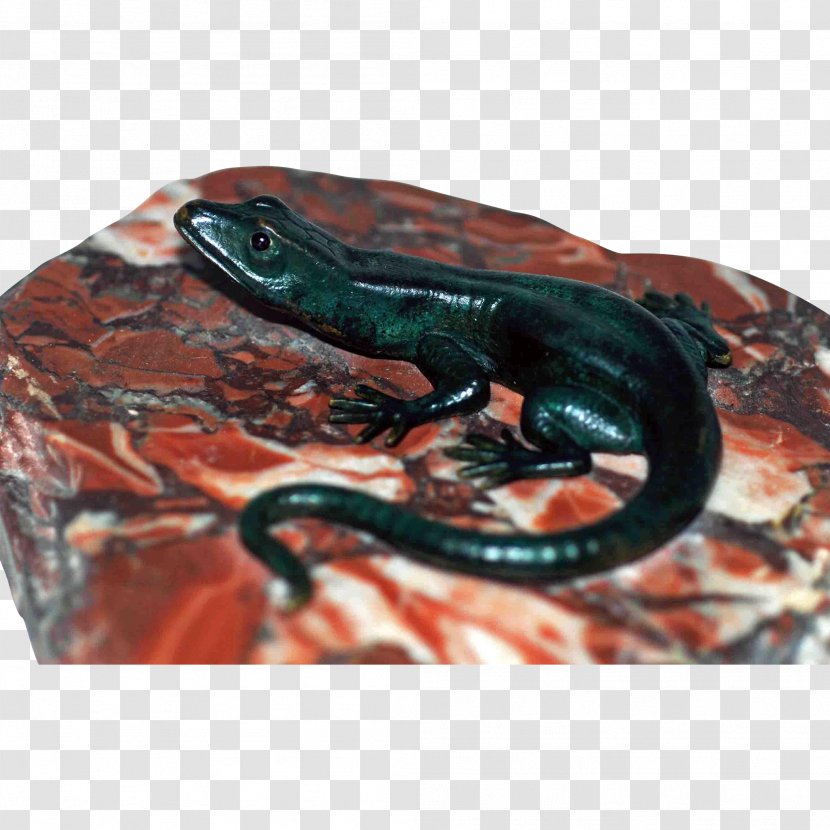 Reptile - Lizard Transparent PNG