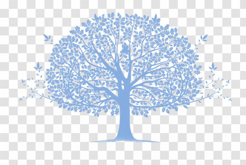 Family Tree Genogram Community Genealogy - Sky Transparent PNG