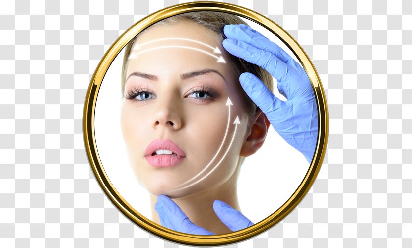 Rhytidectomy Plastic Surgery Aesthetic Medicine - Nose - Face Transparent PNG