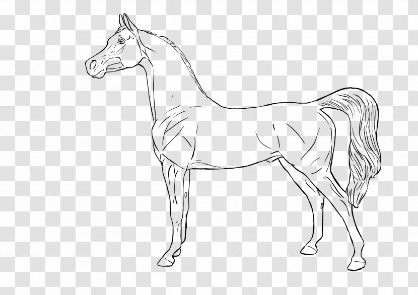 Foal Bridle Mane Model Horse Mustang - Breyer Animal Creations - Arabian Transparent PNG