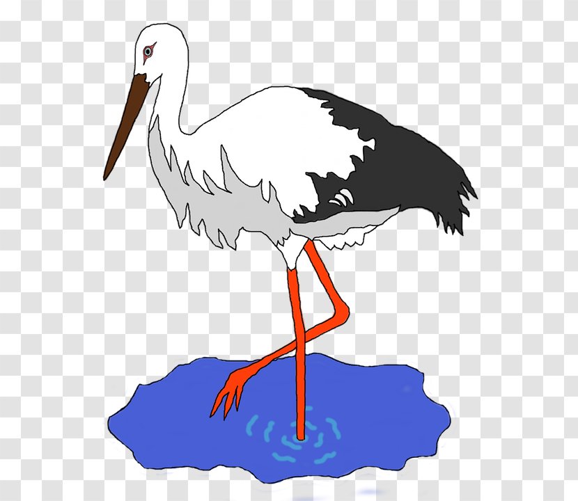 Crane Heron White Stork Bird - Redcrowned Transparent PNG